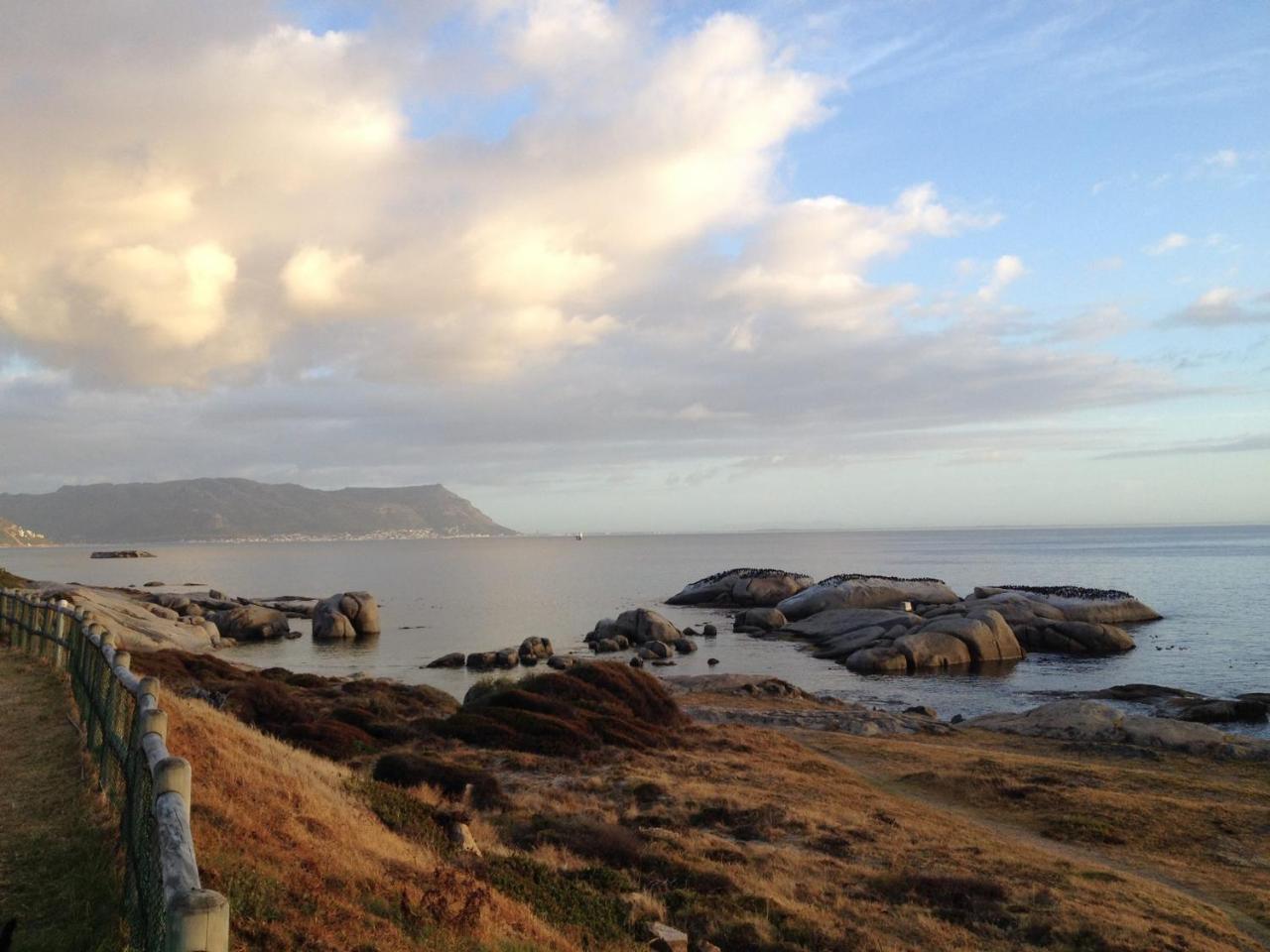 Porcupine Walk Apartment Simon's Town Ngoại thất bức ảnh
