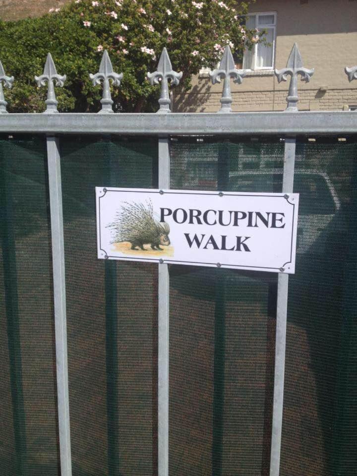 Porcupine Walk Apartment Simon's Town Ngoại thất bức ảnh